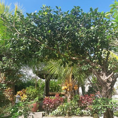 Muaya Villa Jimbaran Exteriér fotografie
