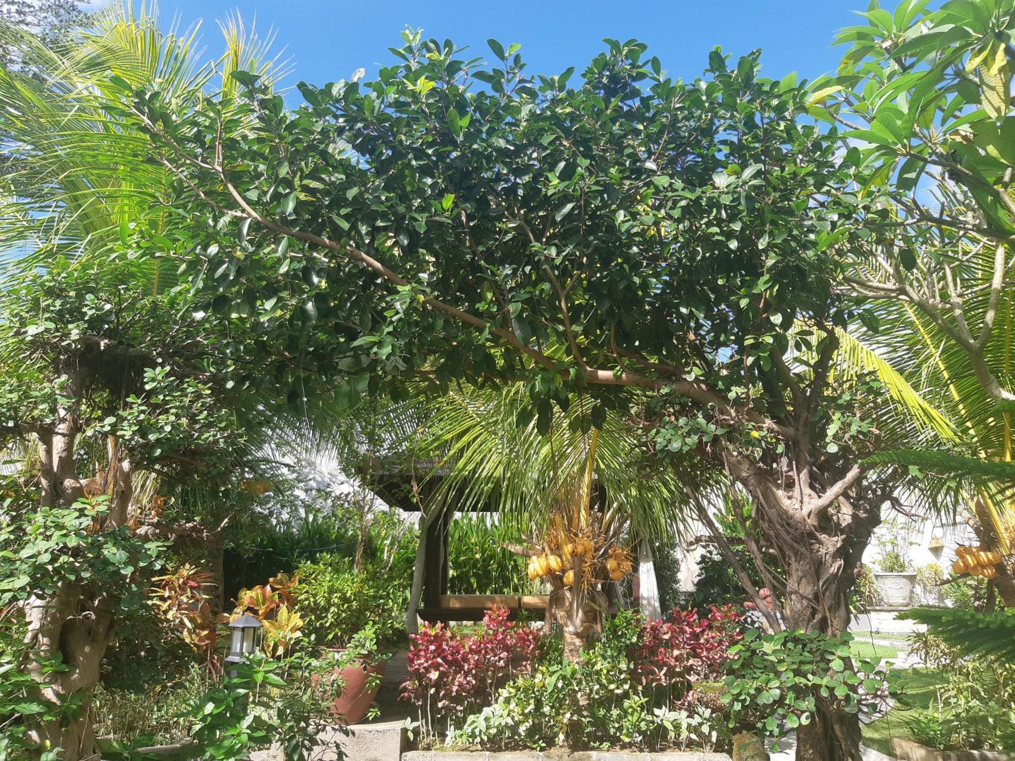Muaya Villa Jimbaran Exteriér fotografie